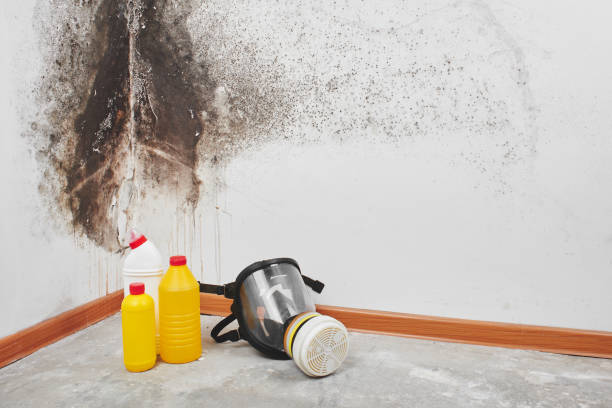 Mold Removal for HVAC Installations in Wathena, KS